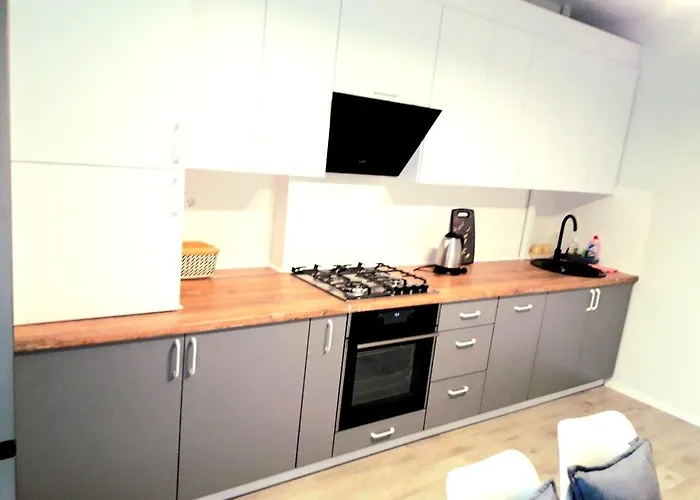 новобудова стрийська 45а жк леви міста автовокзал гашека Apartmán