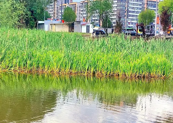 новобудова стрийська 45а жк леви міста автовокзал гашека * Lviv